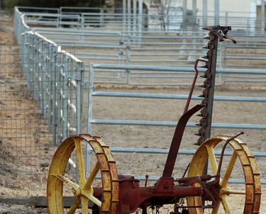 Fale conosco para planta de galpão para bovinos de corte