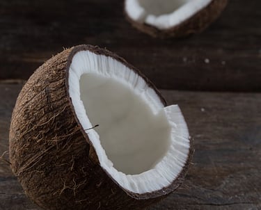 Confira Informações sobre sobre Planta para Fábrica de Vinagre de Coco