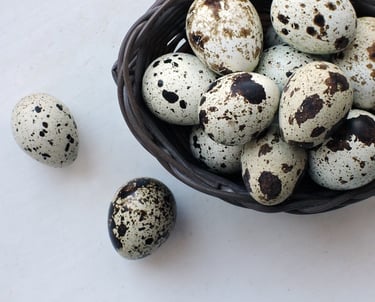 Planta de Galpão para Ovos de Codorna - Precisa de ajuda?