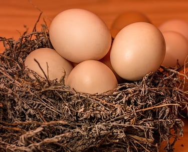 Saiba mais sobre Projeto de Granja Para Incubação de Ovos