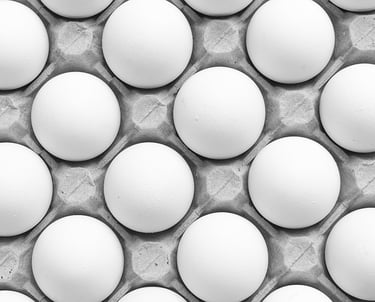 Perguntas a respeito de Layout de Granja para Galinhas Poedeiras