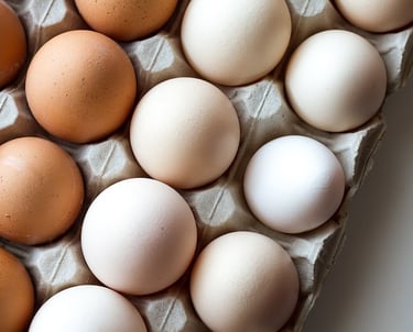 Explore mais - Unidade de Beneficiamento de Ovos e Derivados