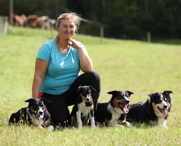 Border Collie breeder | Herding instructor | Dog training | Herding judge