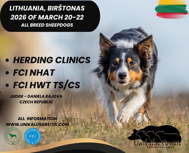 Herding clinics 2026