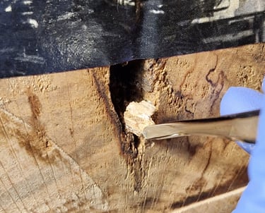 Gaps Wood restoration