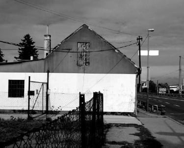 ©Viola Rühse