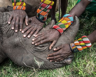 Samburu wariors with the black rhino @Ami Vitale