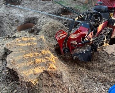 a man is using a stump grinder to cut down a tree stump