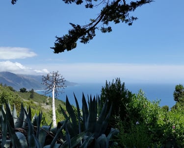 New Camaldoli Big Sur, California