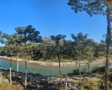 180 degree river view from room balcony