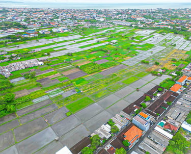 Villa Sattara Seminyak is Surrounded by rice fields