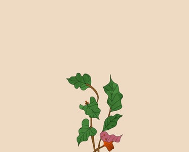 "Botanical illustration with green leaves and red blooms on a beige background."