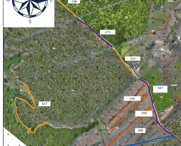 Planos de diseño de cultivo de palma de aceite