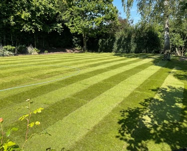 Freshly laid turf - lawton landscapes