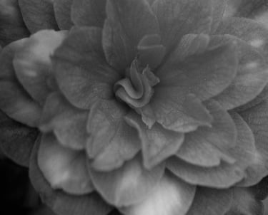 Filosofía de Apotecaria Skin. Tu tienda online de cosmética natural en Canarias.