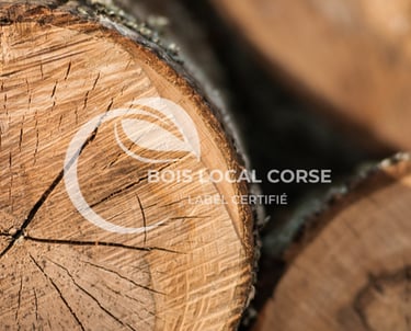 un tas de bûches de bois avec une découpe circulaire dans le bois