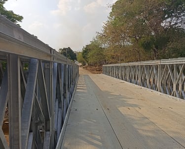 Puente Camino al Guamo