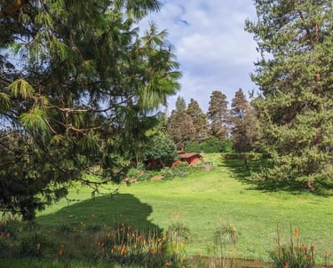 Ampthill downs a farm stay in Poondi.