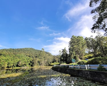 Poondi lake