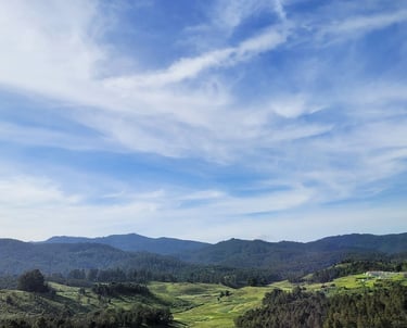 Poondi landscape