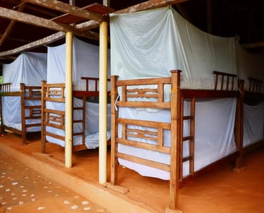 Rustic wooden bunk beds with white mosquito nets in a tropical hostel dorm room.