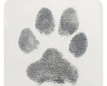 Inkles wipe kits are used to capture your pet's paw print for silver jewellery.
