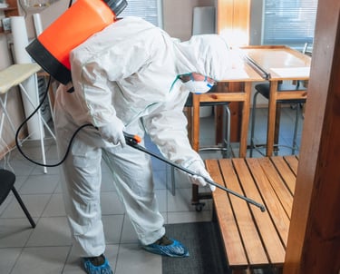 مكافحة حشرات مكه