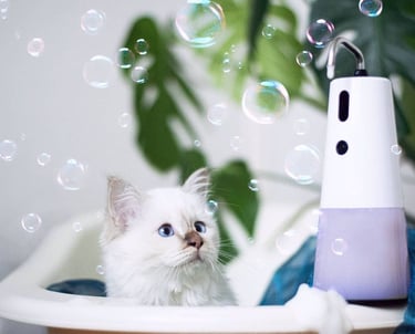 a white cat in a bathtub with soap bubbles