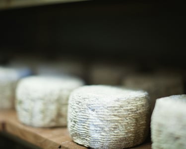 fromage de chèvre
