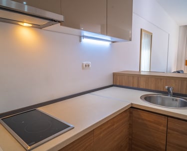 loop montenegro rental apartments