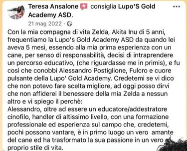 addestramento cane avellino