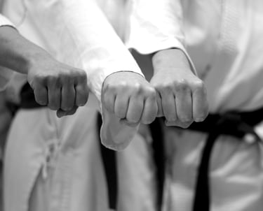 baisieux arts martiaux karaté taï jitsu