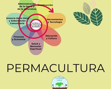 escuela de permacultura, escuela agricultura ecológica y biodinámica, formación permacultura,