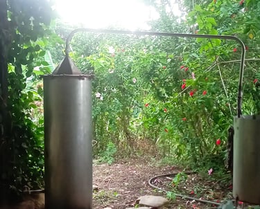 destilación aceites esenciales, alambique, proyectos permacultura, plantas medicinales