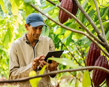 webs y aplicaciones gestion fincas permacultura, agricultura ecológica y ganadería