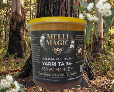 Yarri Blackbutt honey TA35+ jar in a forest backgroud
