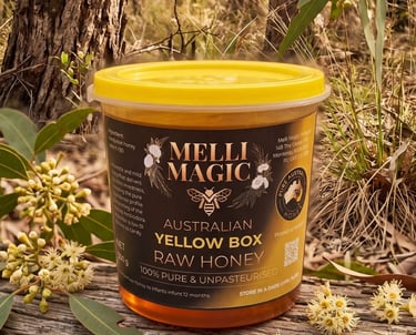 A tub of Melli Magic Australian Yellow Box Raw Honey displayed outdoors next to native eucalyptus blossoms.