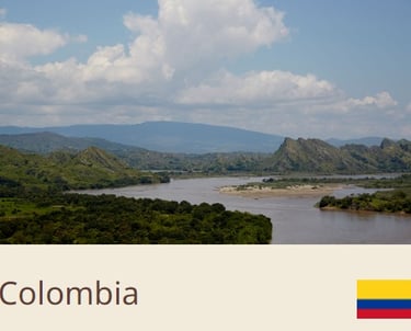 Green Coffee Beans From Colombia - Quality Beans imported to New Zealand