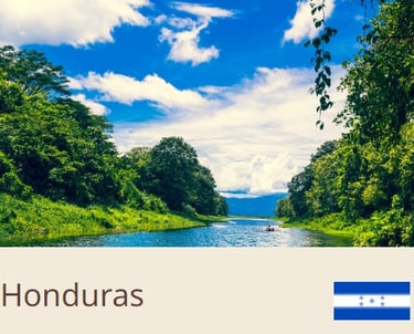 Green Coffee Beans From Honduras - Quality Beans imported to New Zealand