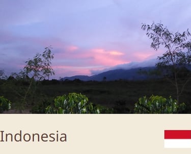 Green Coffee Beans From Indonesia - Quality Beans imported to New Zealand