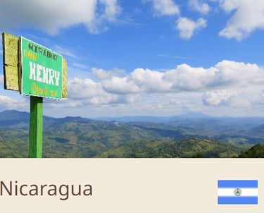 Green Coffee Beans From Nicaragua - Quality Beans imported to New Zealand