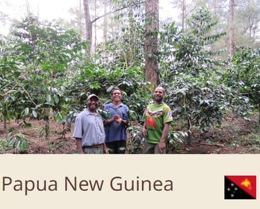 Green Coffee Beans From Pupua New Guinea - Quality Beans imported to New Zealand