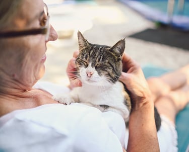 a woman in a white shirt is holding a cat