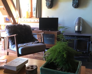 Woodburner with an armchair and coffee table and plant