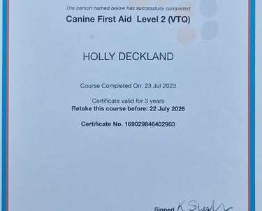 Canine First Aid Level 2 certificate