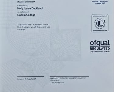 Level 2 Technical certificate in Equine Care