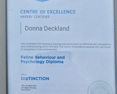 Feline Behaviour and Psychology Diploma