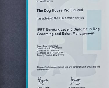 Level 3 Grooming and Salon Management iPET certificate