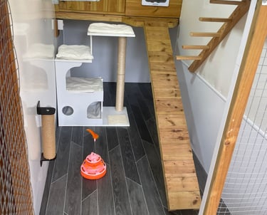 inside luxury cattery penthouse