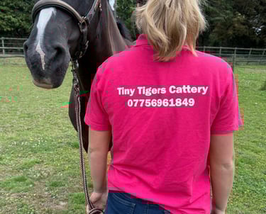 Tiny Tigers Cattery with a horse